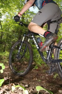 Mountain biker riding away into a forest